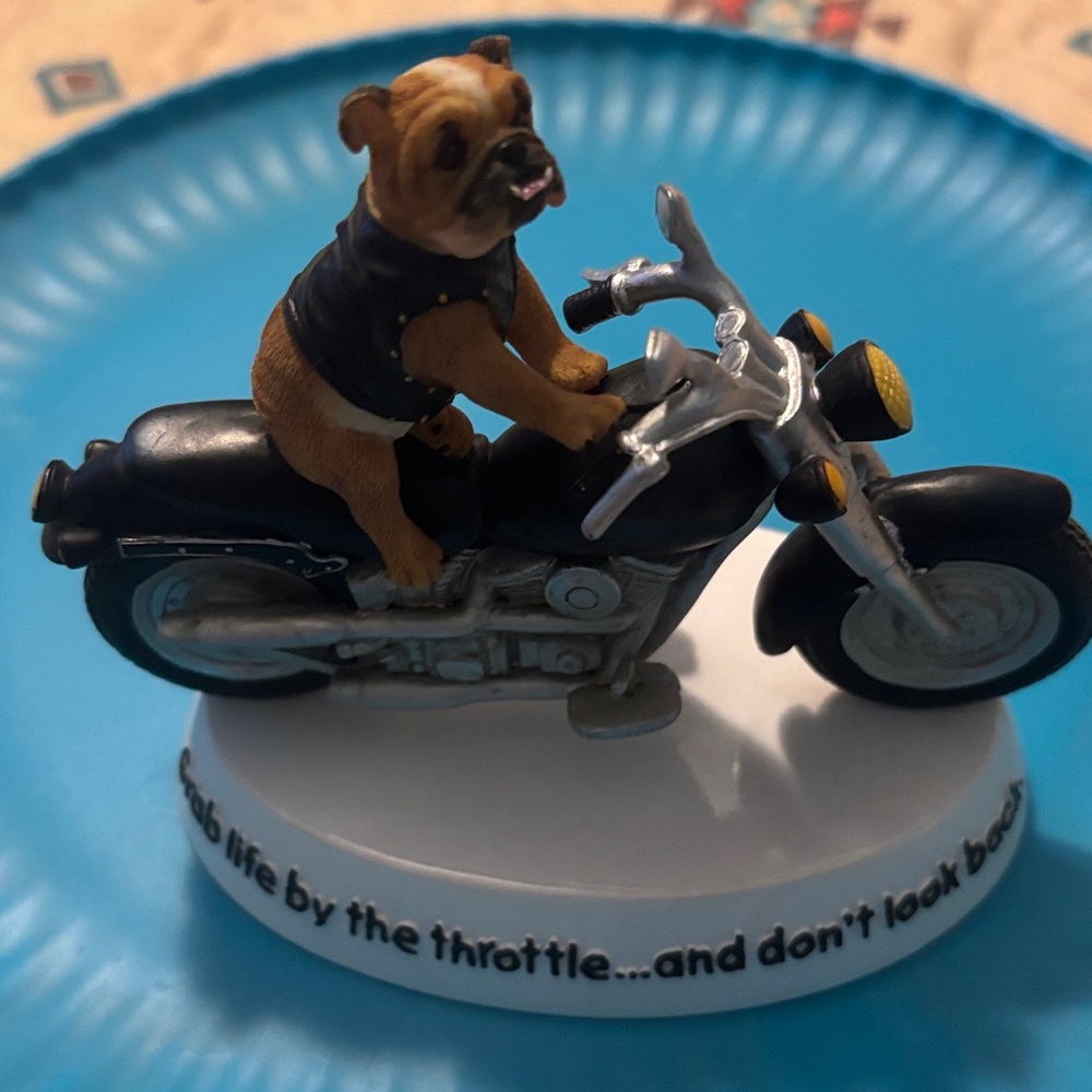 Grab life by the horns and don’t look back bulldog riding a Harley
